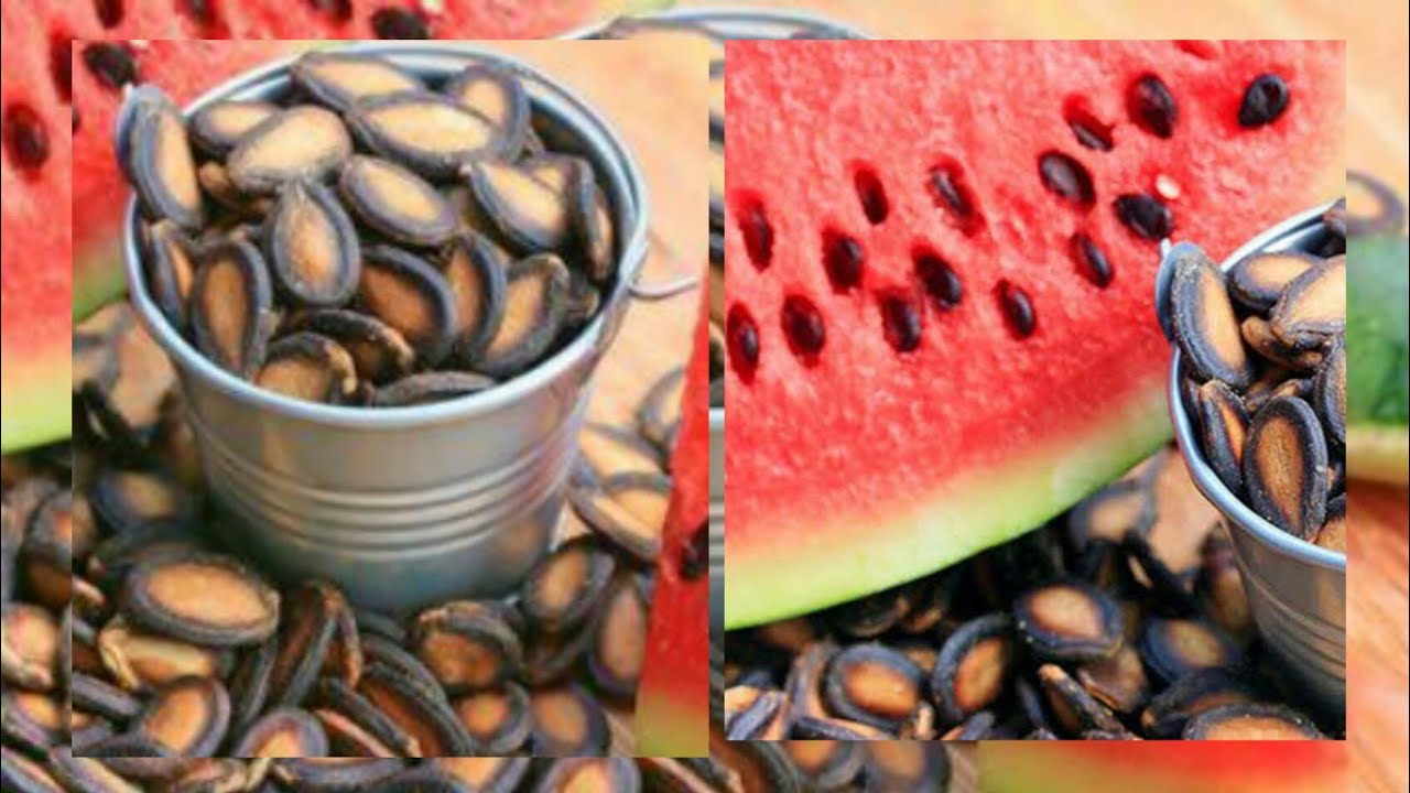 usitumie mbegu za tikiti maji(watermelon seeds) kabla ya kujua haya.