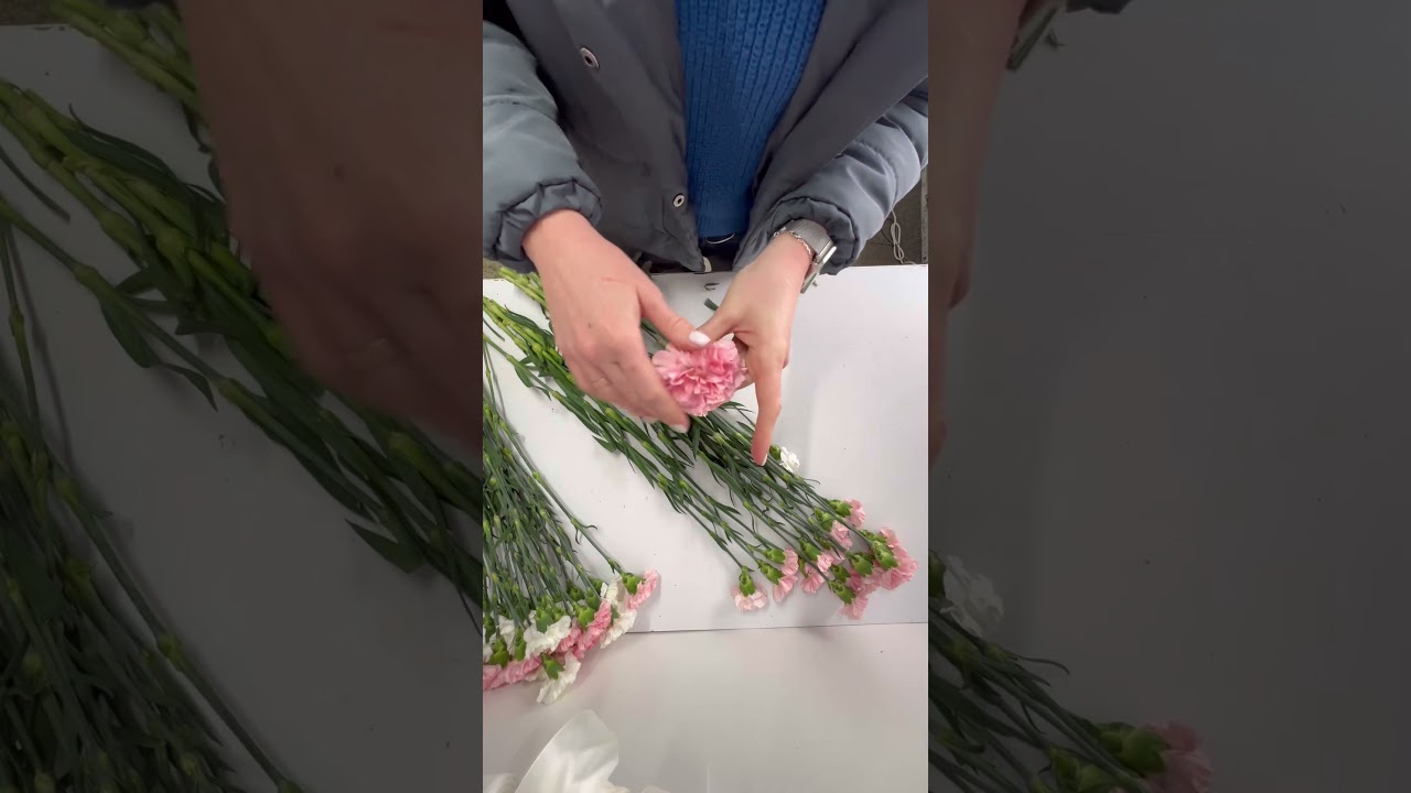 How to Open a Carnation by Hand#dianthus  #flowerprocessing #floristtips #cutflowers #carnationbloom