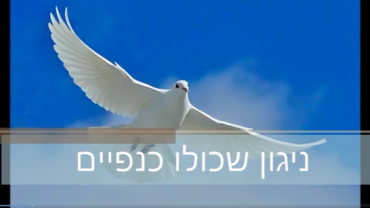 ניגון התפילה שכולו התרוממות