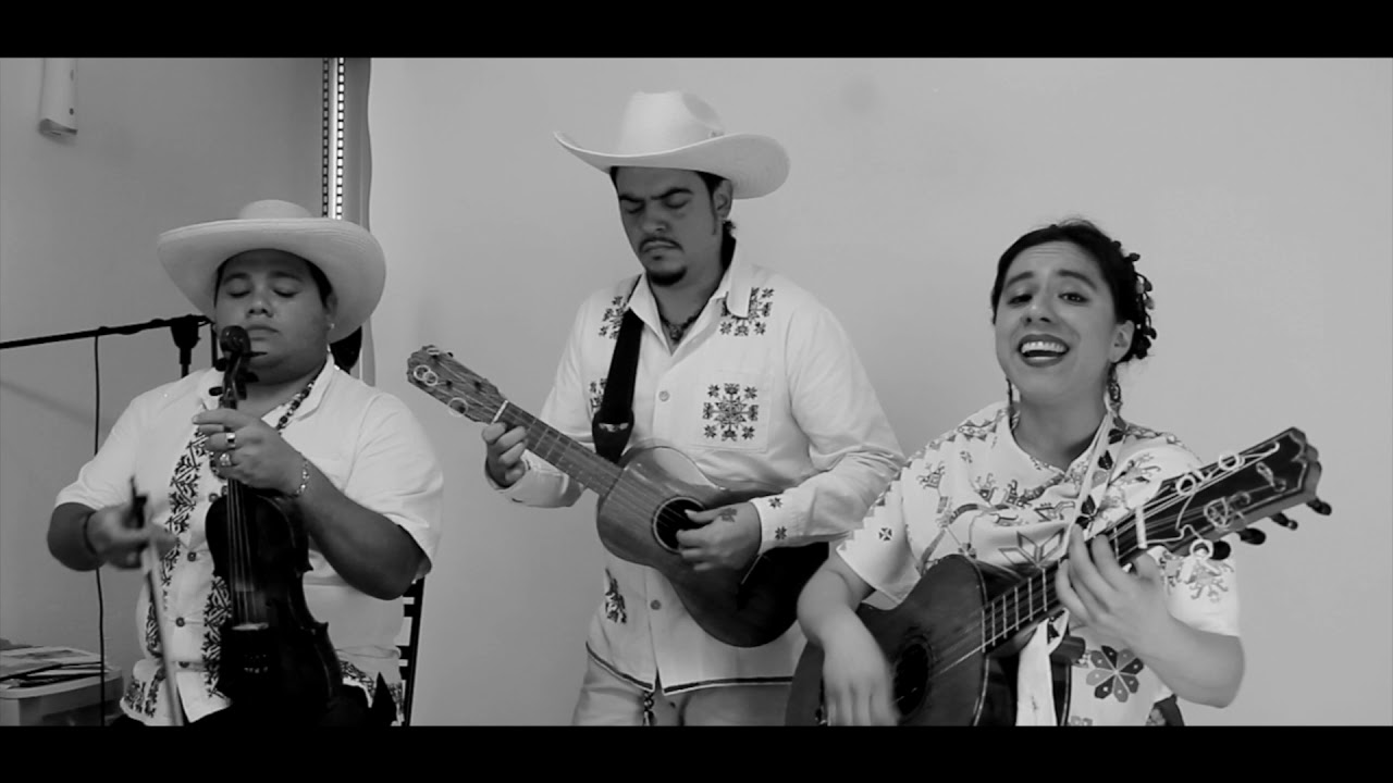 La Petenera | Son Huasteco Tradicional.