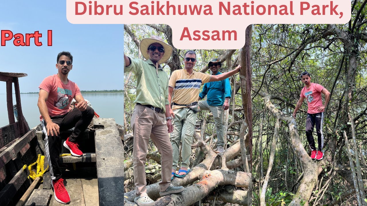 Dibru Saikhowa National Park|| Best Place to visit in Assam|| Guide, tour and Budget details
