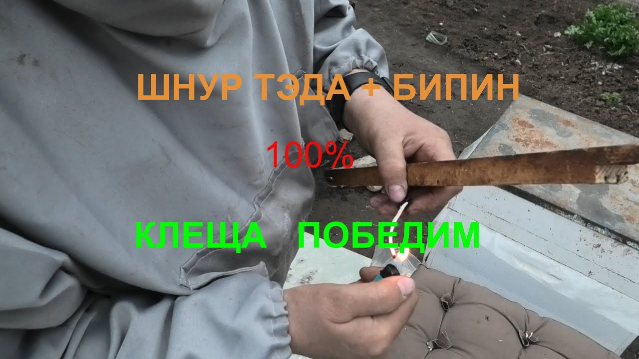 Шнуры ТЭДА  против клеща.