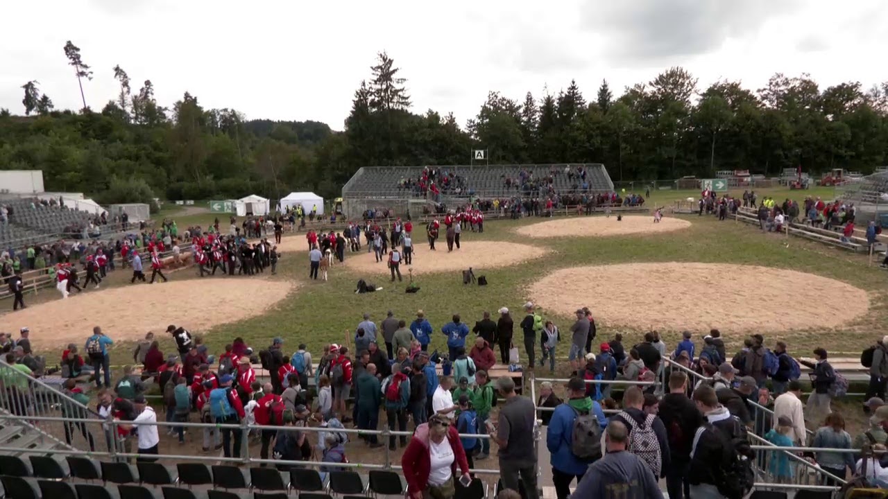 Live-Stream Eidgenössischer Nachwuchsschwingertag Schwarzenburg