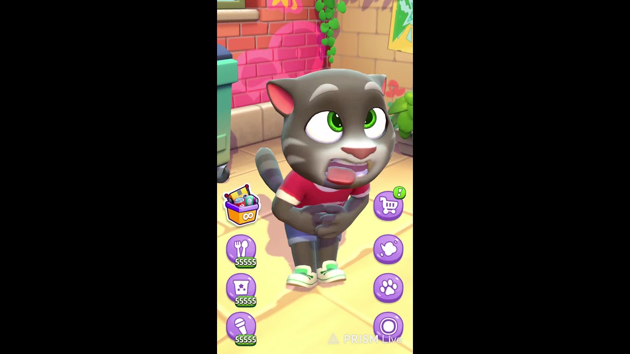 Talking Tom Fun Mood