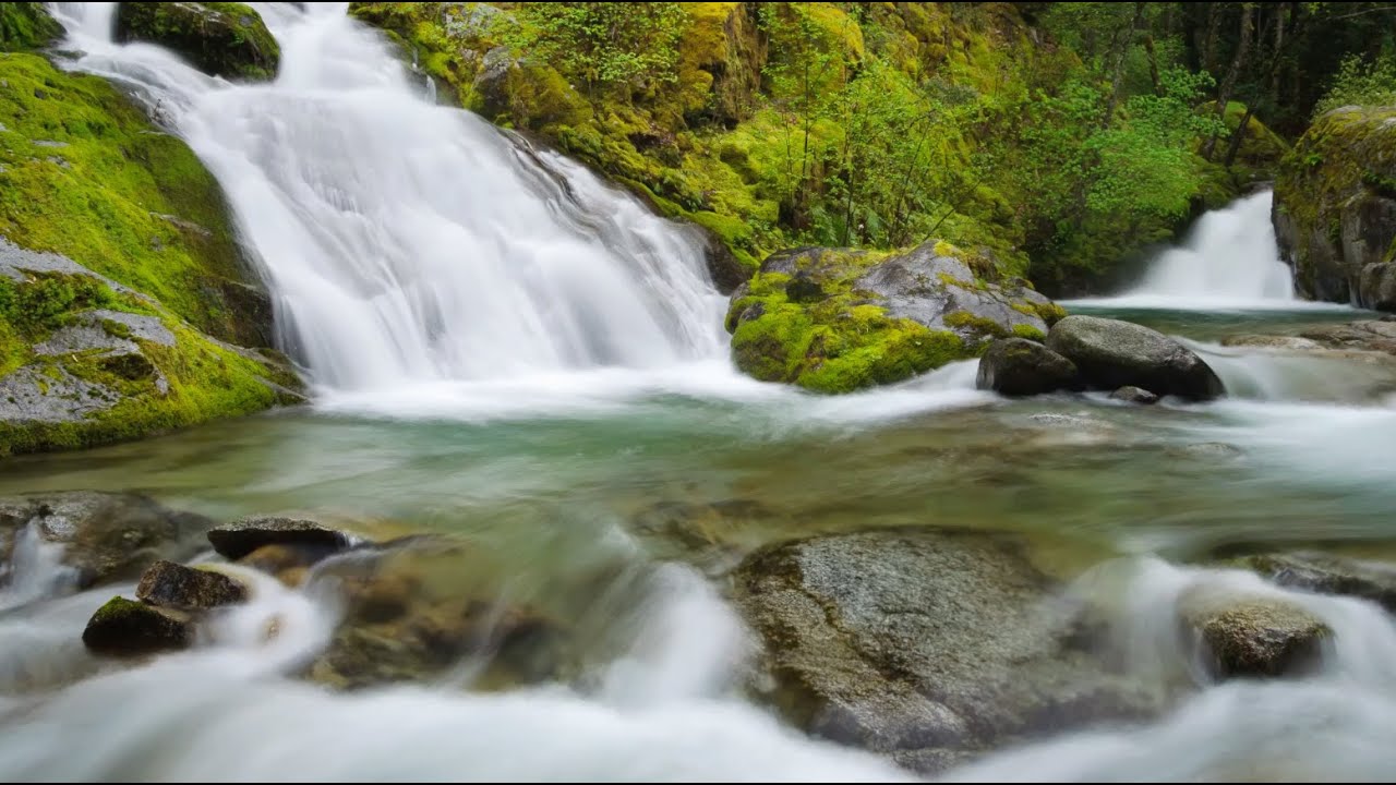 Tranquility: Time Reflection | Music United with Nature