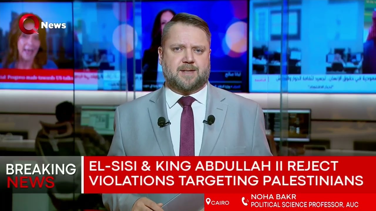 Egypt puts much effort into supporting injured Palestinians: Political science professor at AUC