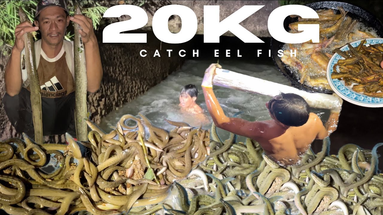 20KG BAAM MACHA (EeL FISH) 🐍 PARYO 😱😱|| BAAM SEASON || @santosh-l2o3p 