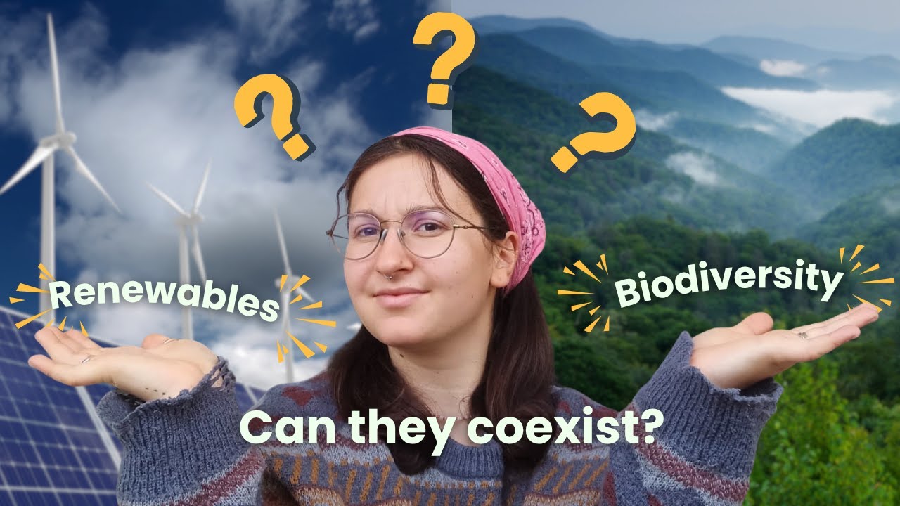 Can nature and renewable energy go hand in hand?