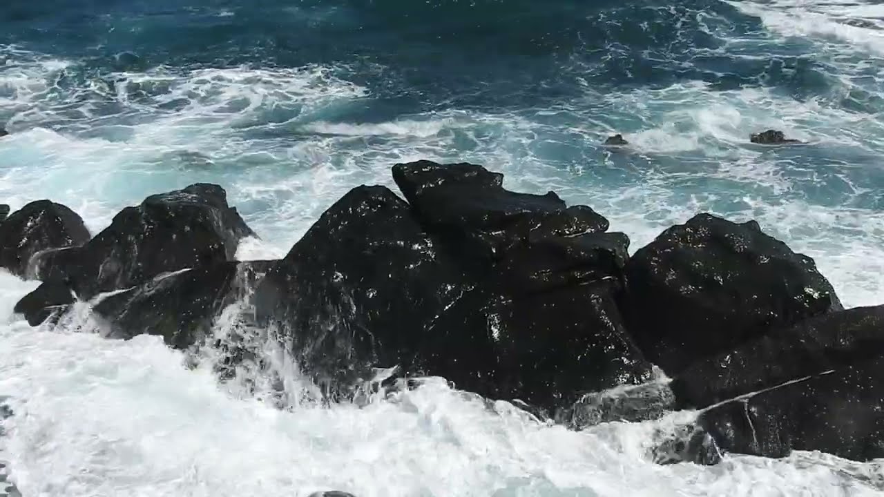 DSCN6260