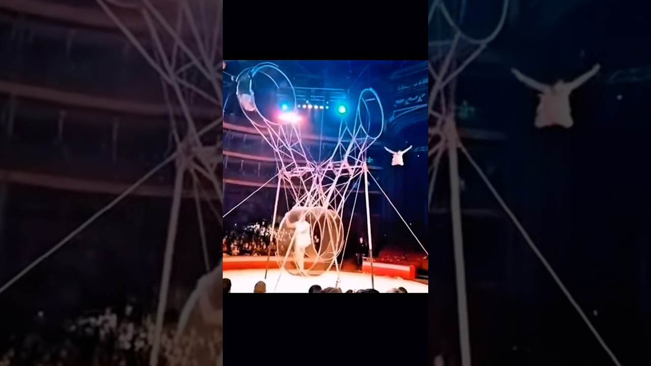 💁&zwj;♂️WHEEL OF DEATH