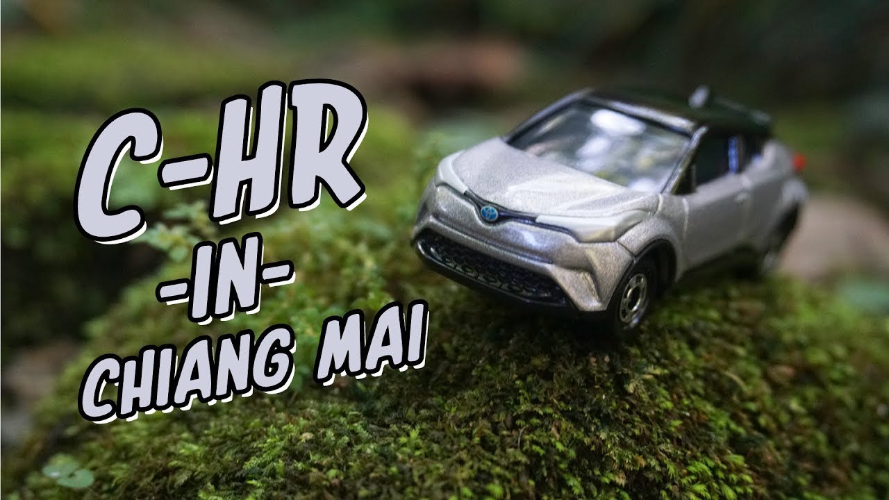 เที่ยวเชียงใหม่ พราวภูฟ้า กับรถเหล็ก tomica Toyota C-HR