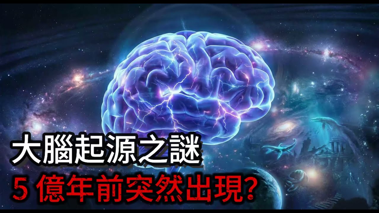 震驚！你的大腦在5億年前就被