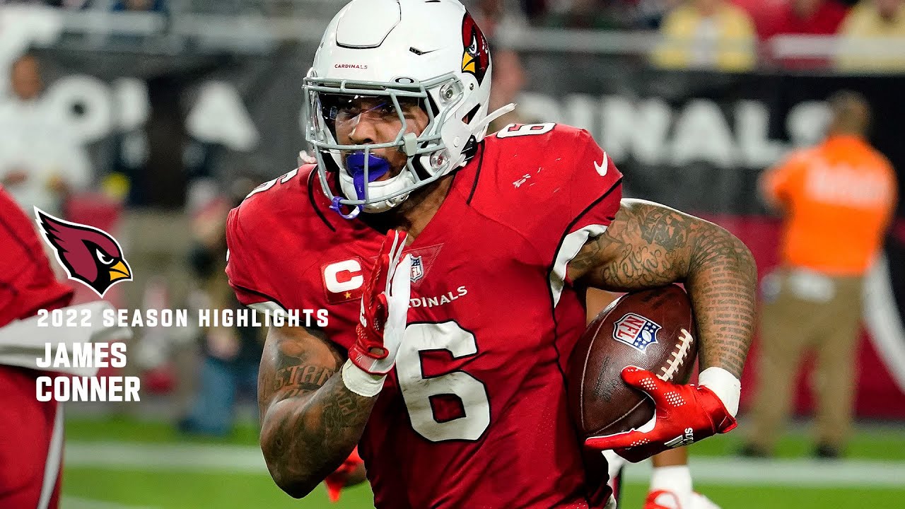James Conner 2022 Season Highlights