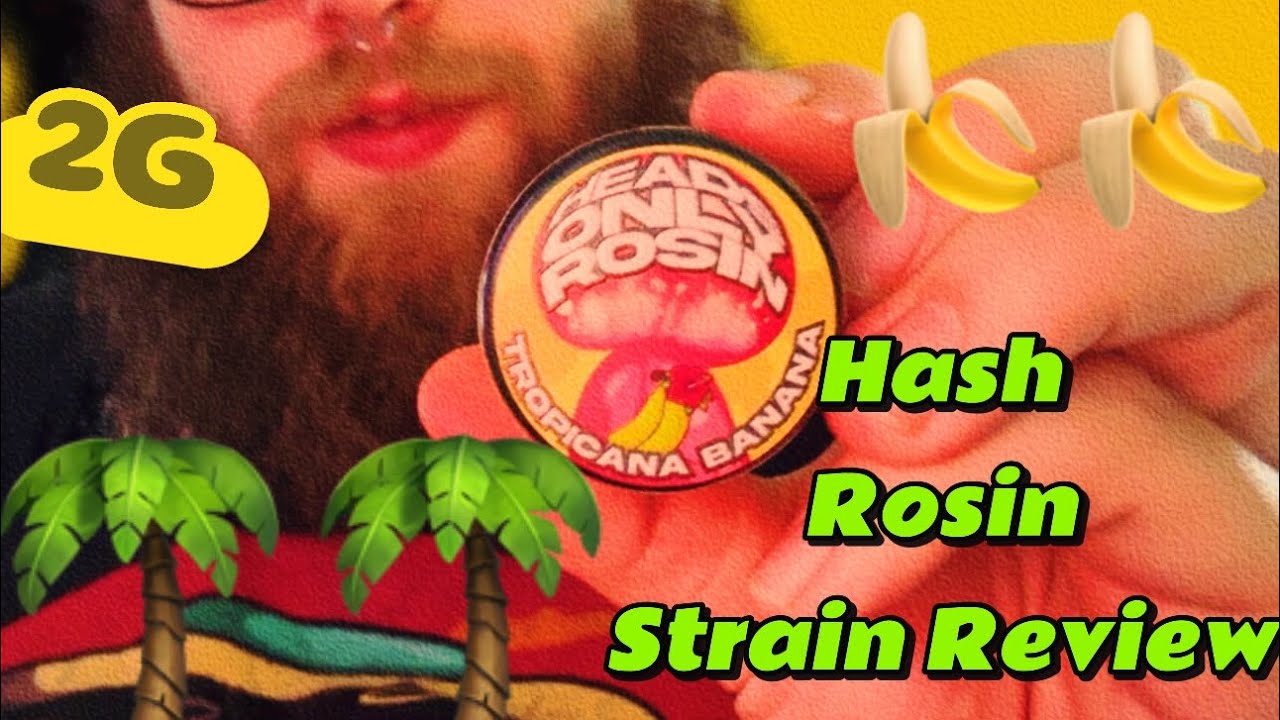 TRYING HEADS ONLY LIVE HASH ROSIN! (Tropicana Banana) 🌴 🍌