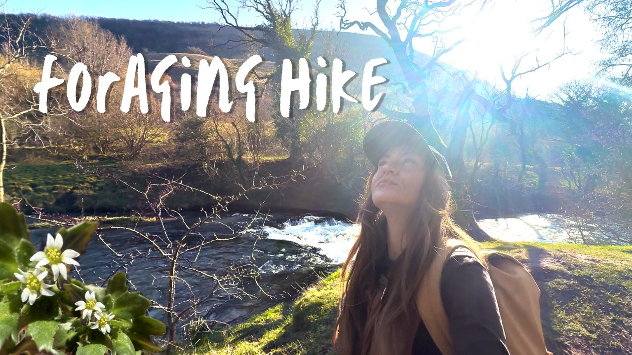 What Wild Edible Plants Are Out in March? | Early Spring Foraging in the Peak District