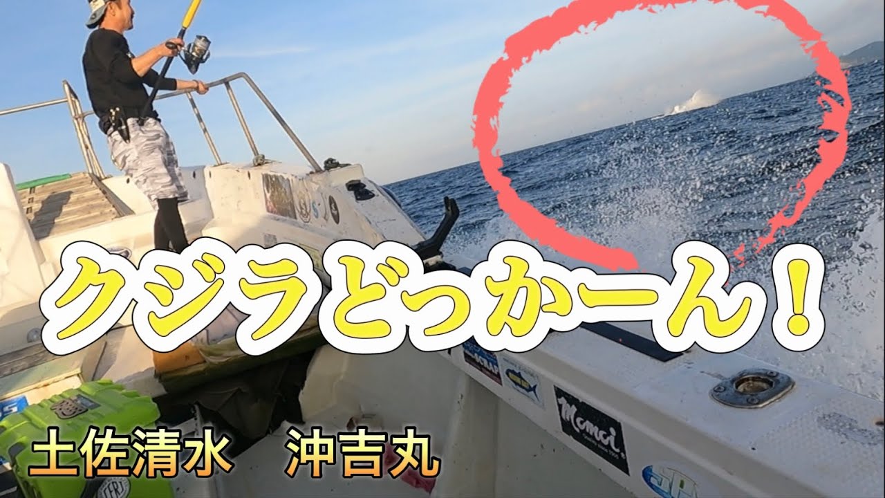 沖吉丸でカツオ、キハダ！