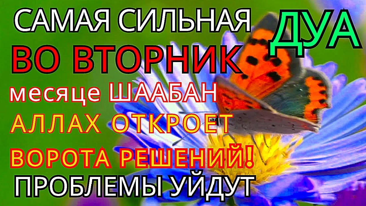 САМАЯ СИЛЬНАЯ дуа ВО ВТОРНИК! Все желания сбываются! Даёт богатство, успех и счастье!! 🤲☝🏻