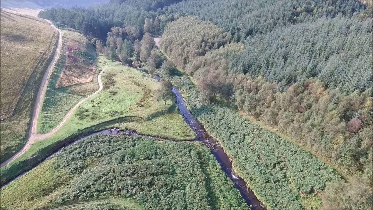 slippery stones