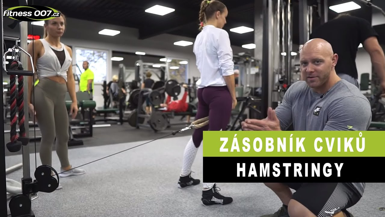 CVIKY NA NOHY 2 #| Hamstringy. Cviky pro holky i kluky. Nejlepší cviky na hastringy? Zásobník cviků.