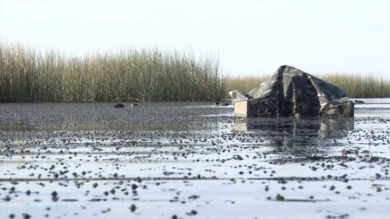 PESCAYTRAVESIA.TV 