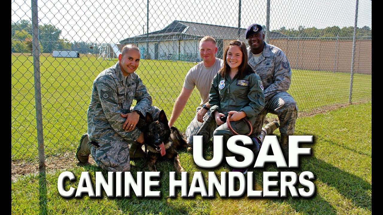 In Their Shoes | On the Job With USAF Canine Handlers