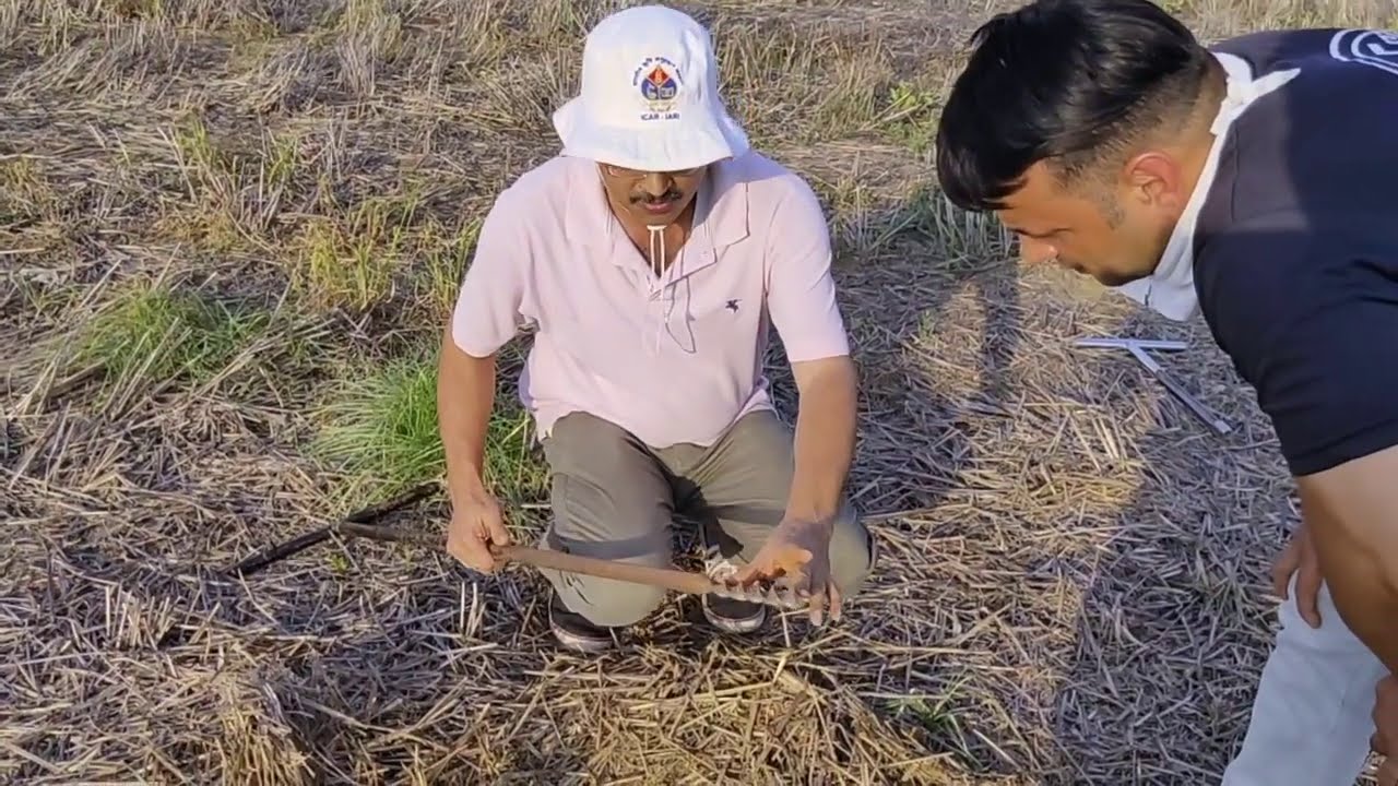 Use of screw auger 1