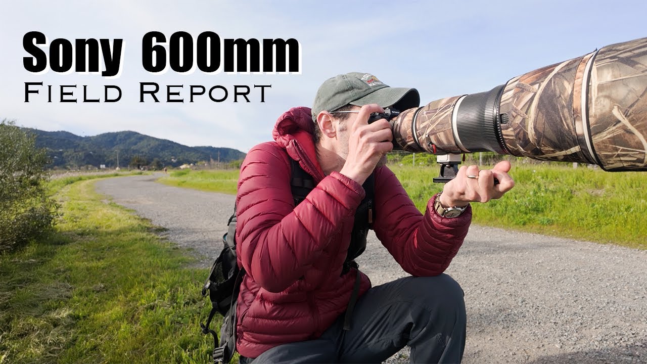 First Impression of the Sony 600mm f/4 GM - Field Report