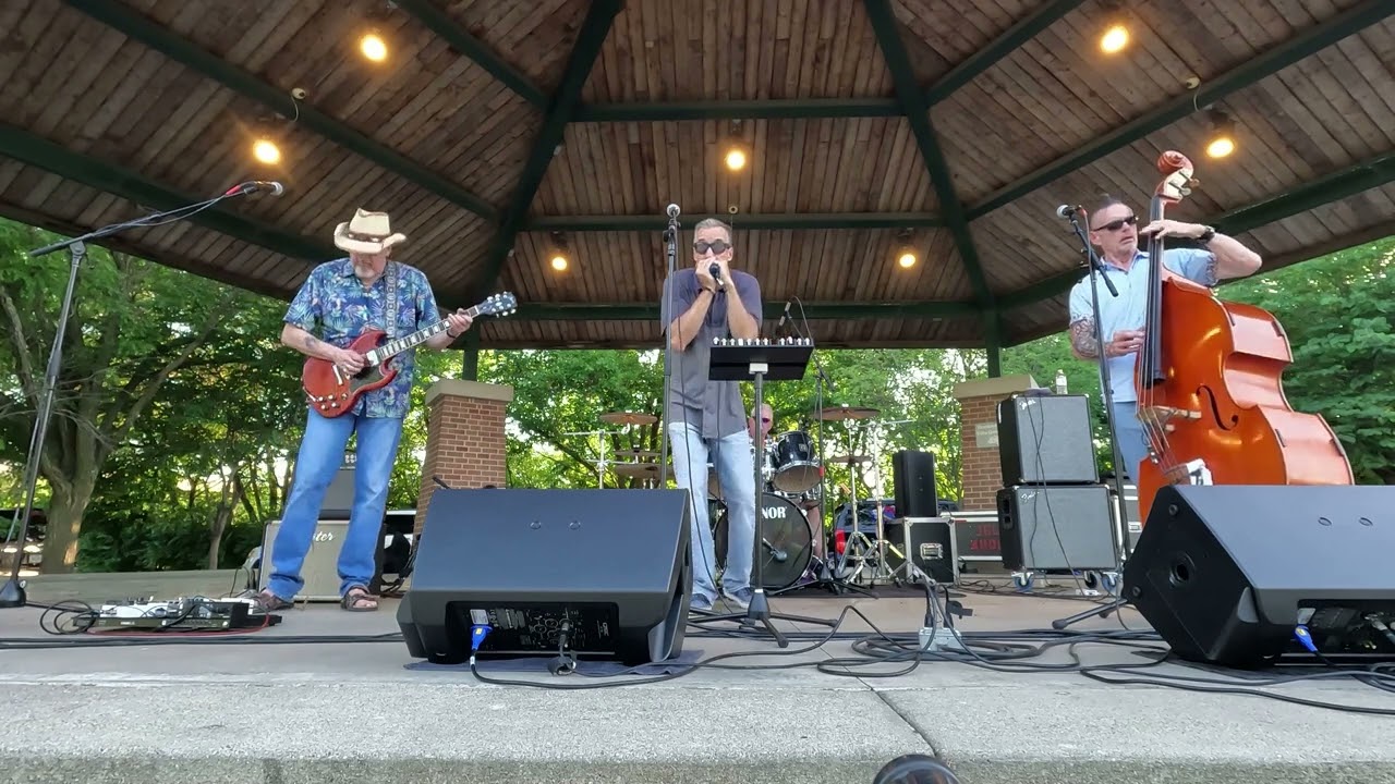Shake Your Hips (Slim Harpo original) by Muddy Walter Band on 6/28/2022 at Night in the Heights