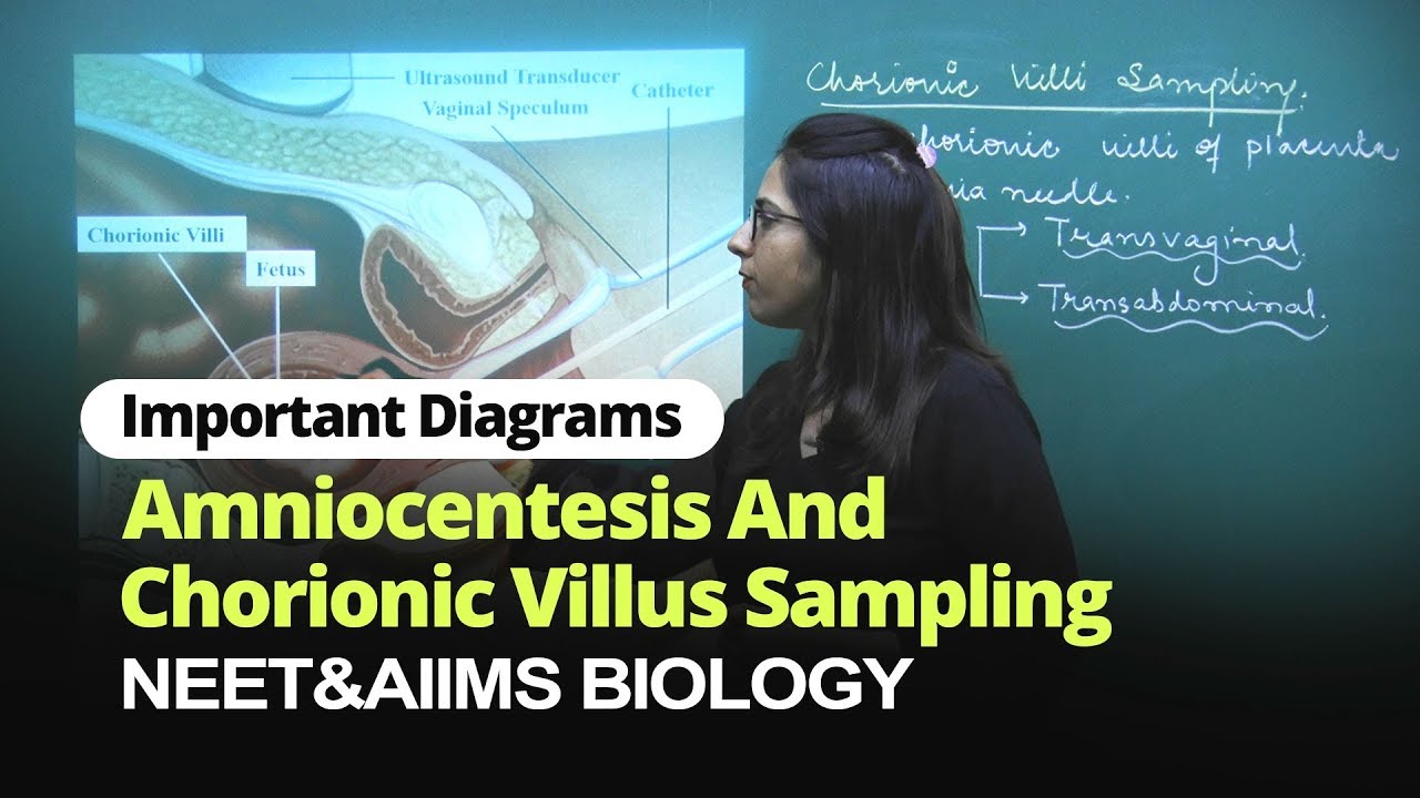 NEET Biology | Amniocentesis and Chorionic Villus Sampling | Important Diagram | In English