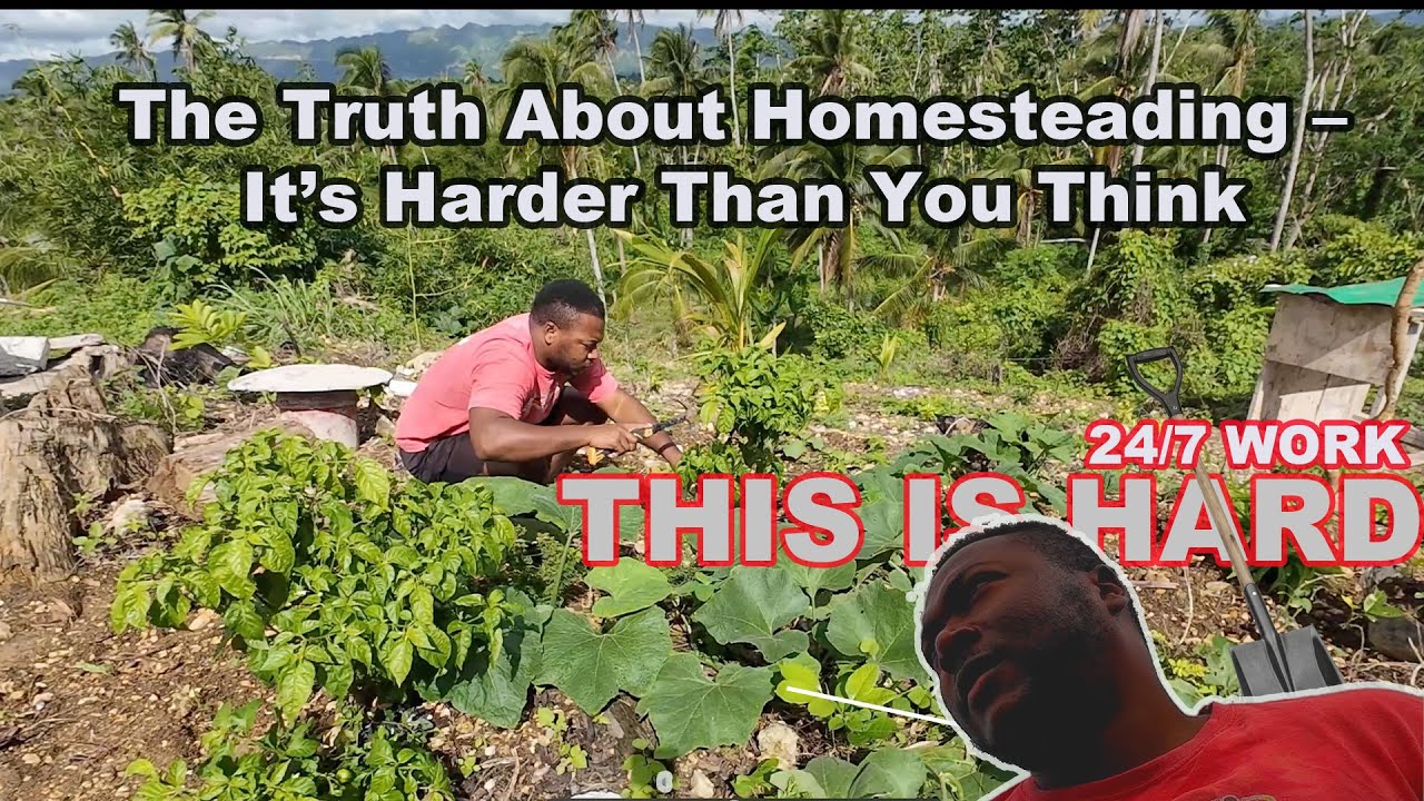 The REALITY of Homesteading – Not What Social Media Shows