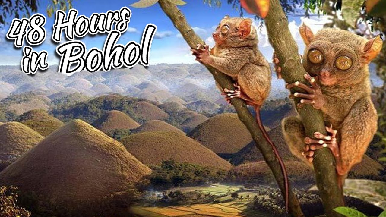 48 Hours in Bohol - Chocolate Hills, Tarsiers, Boat Tour & More!