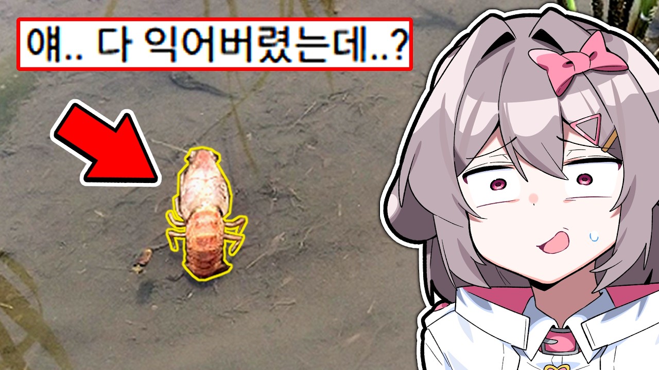 정신나간 레전드 더위 모음집ㅋㅋㅋ..