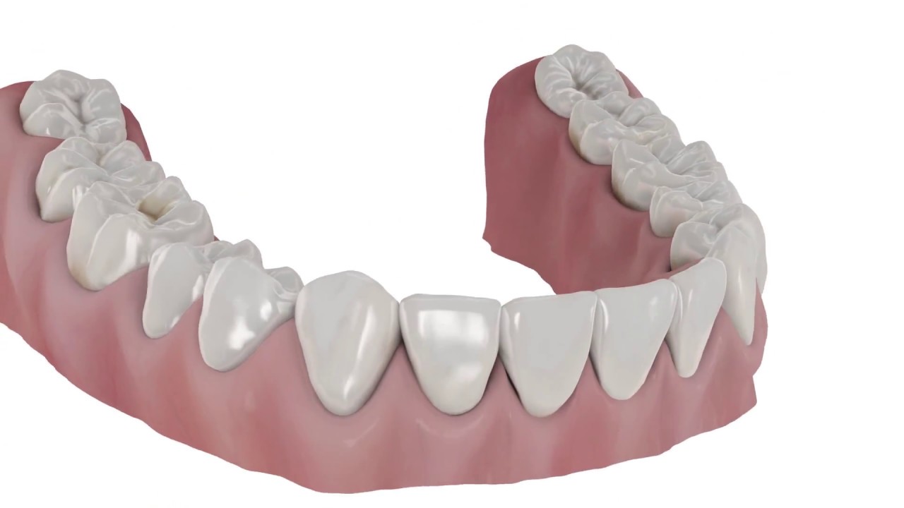 ApaCare 3D animacija (ENG)