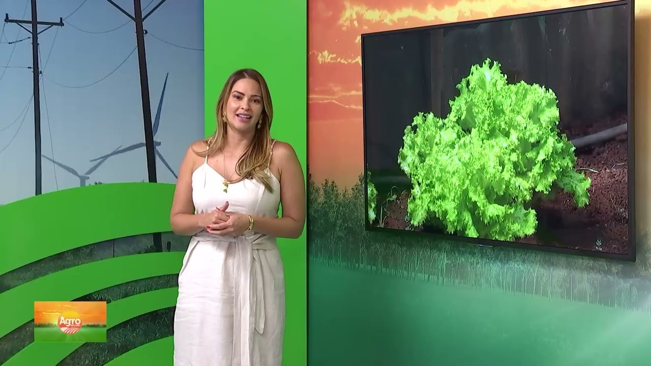 Agro Record 18/01/2026 - Programa Completo