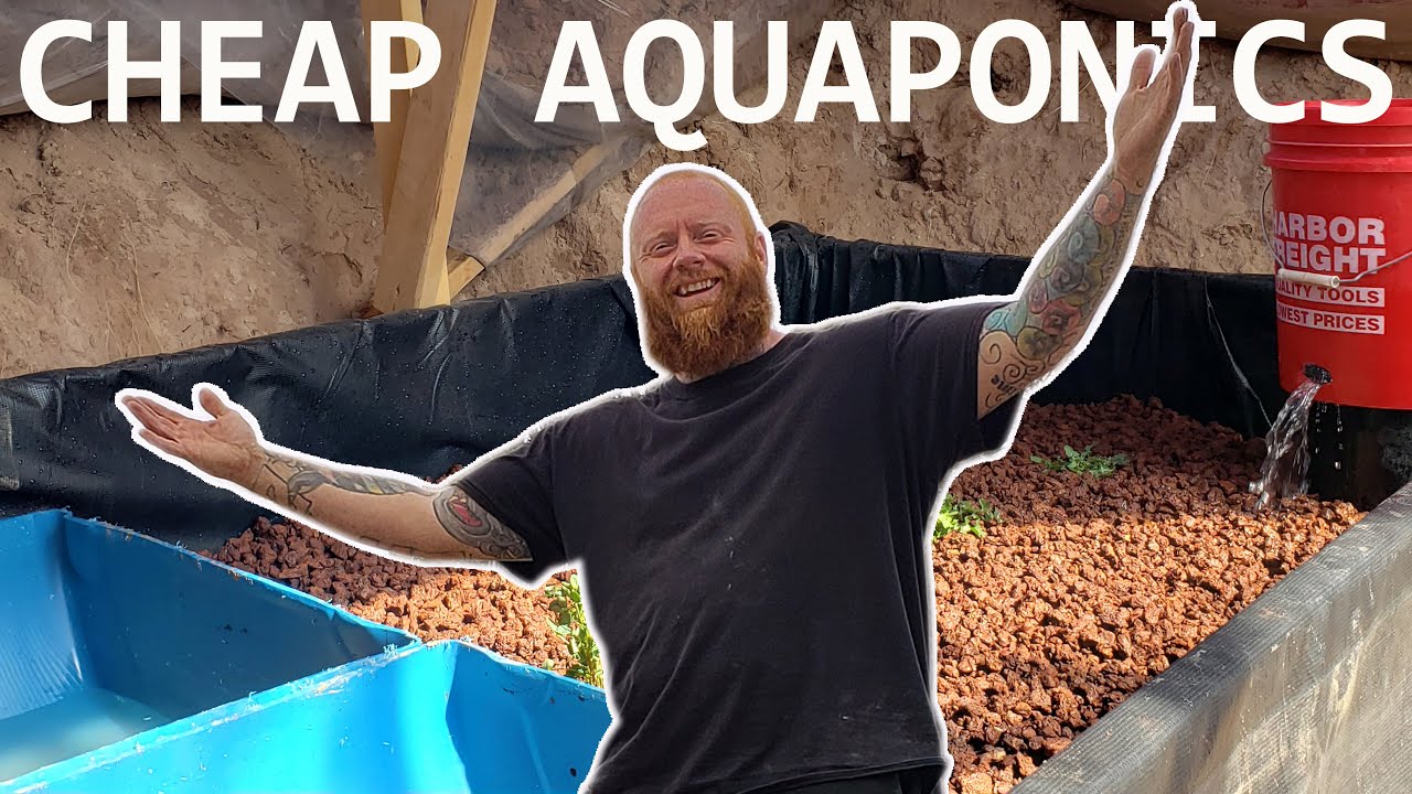 My frugal solar powered aquaponics system