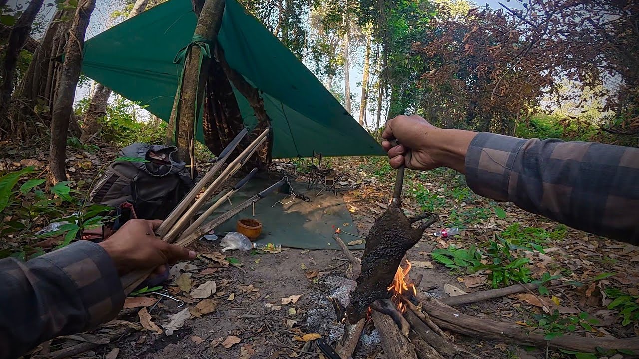 Continue trapping rats and stay in the deep forest | catch, camp and cook