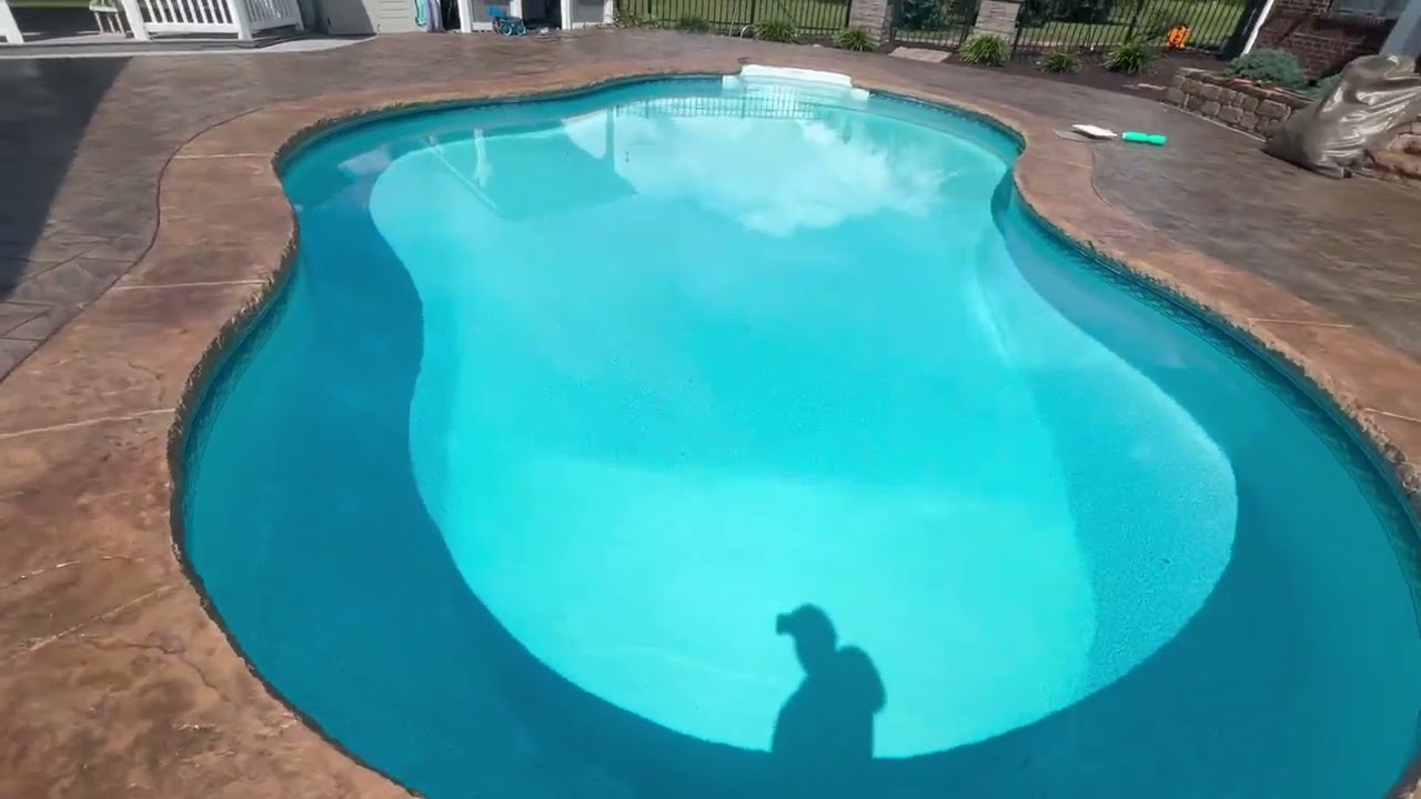 Humpback Kidney In ground Pool