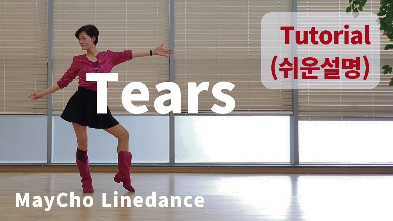 Tears Line Dance 소찬휘 티얼스 (Beginner : Lee Eun Hee) - Tutorial