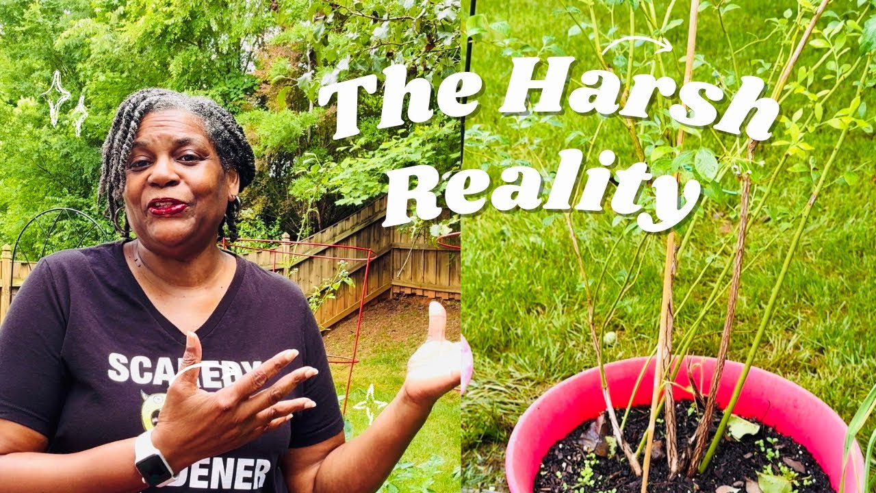 The HARSH Reality of Growing in Containers!