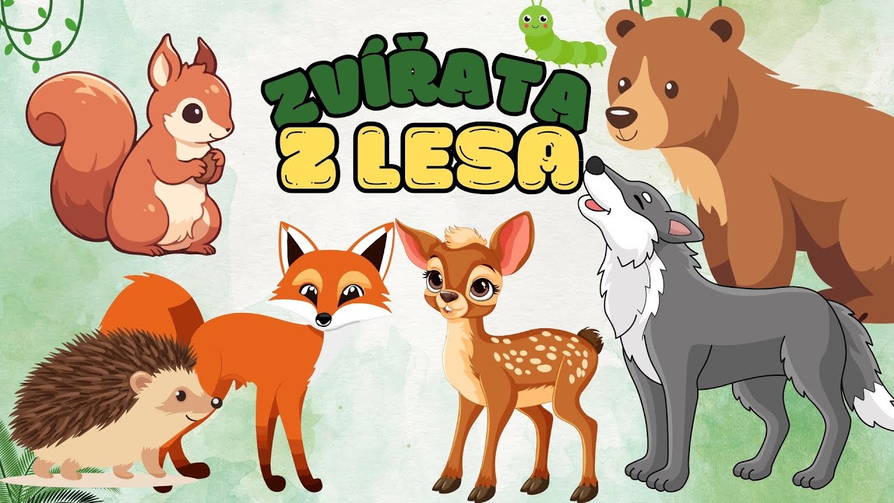 🐻 ZVÍŘATA Z LESA - Jak dělají zvířata z lesa? Zvuky zvířat | Zábavná vzdělávací videa pro děti 🦊