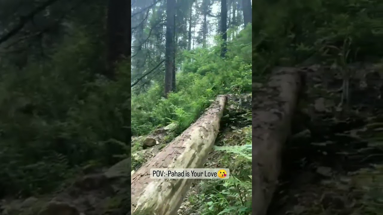 Yaar Kuch Bhi Kaho...#short #manali #trend#chiragsingh