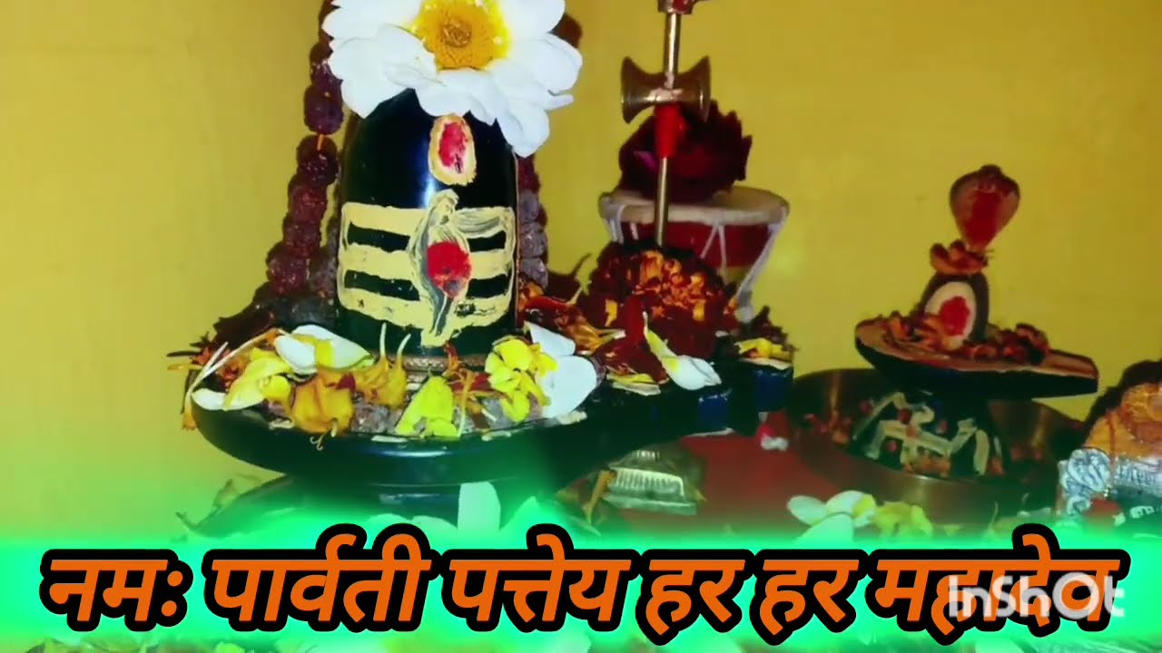 21 जनवरी माघ बुधवार तृतीया तिथि के दिन 7 हरे मूंग के दाने वाला उपाय जरुर करे || Pradeep Ji Mishra