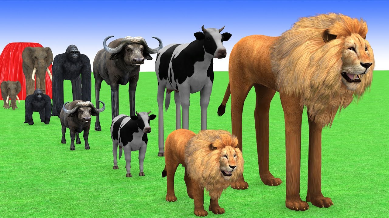 Long Slide Game with Cow Elephant Gorilla Hippopotamus Tiger 3d Animal Game Funny 3d Animals