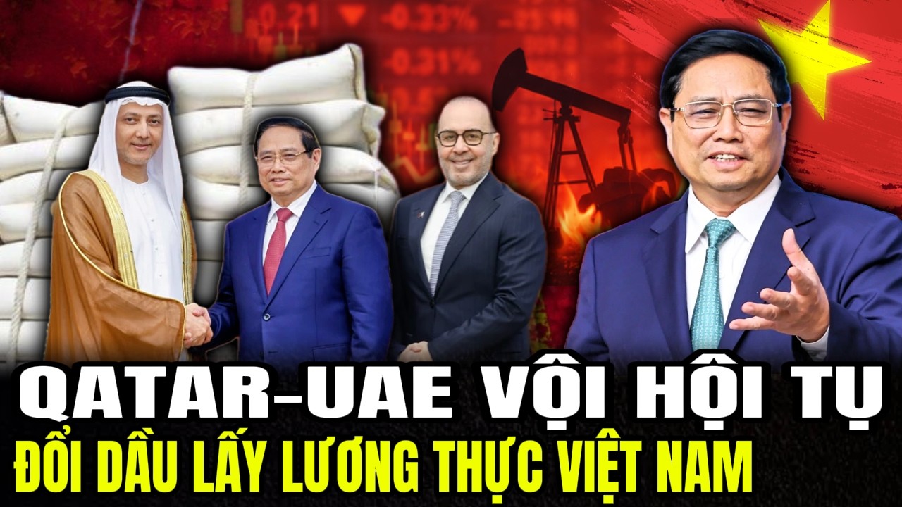 3 Kèo Chiến Lược Của VN: Qatar, UAE Và Nhật Đổi Lương Thực Lấy Dầu | LSQS
