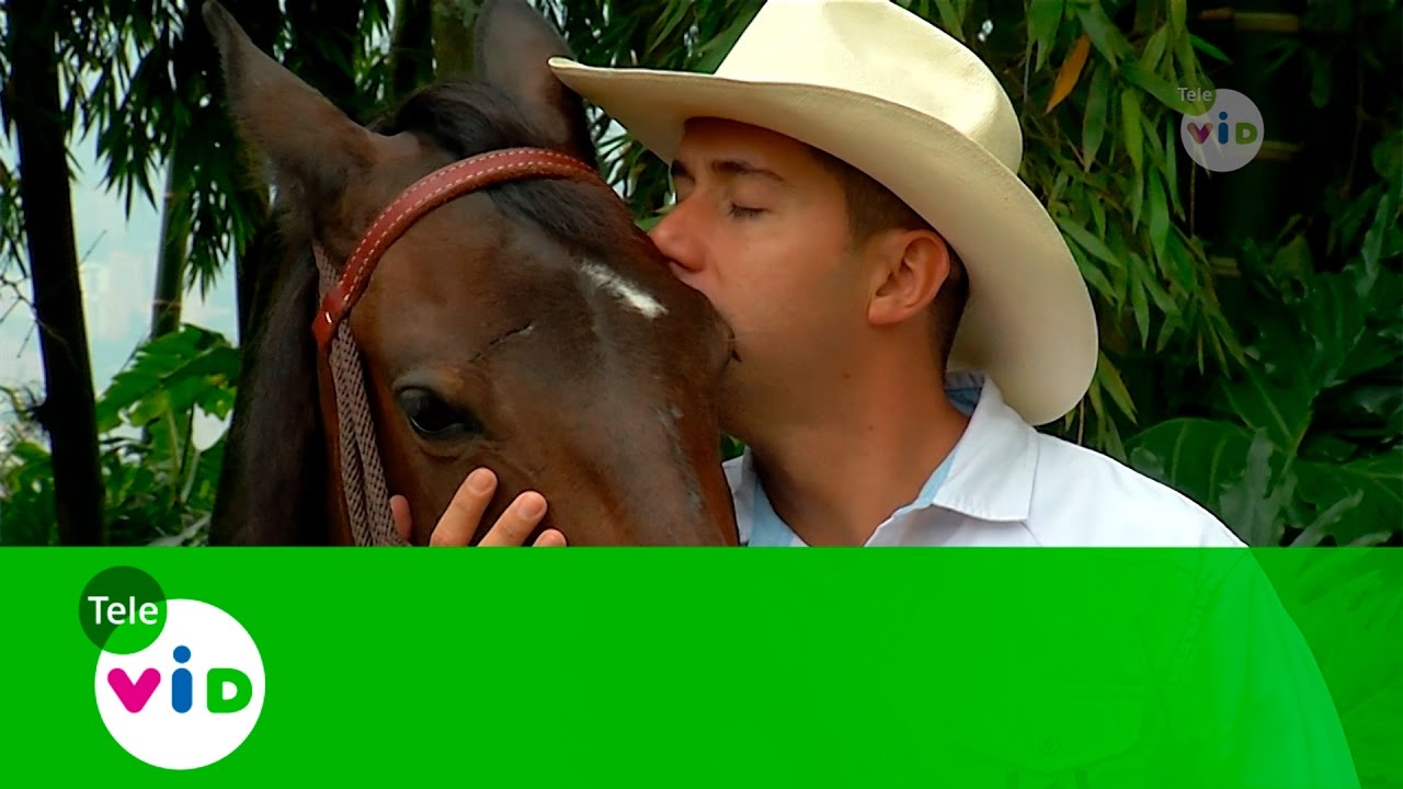 Equinoterapia: Caballos Que Curan (Patas Arriba) - Tele VID