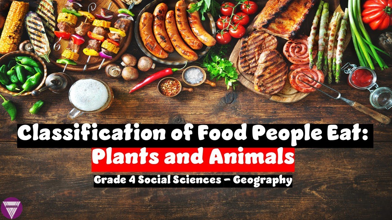 Classification of Food People Eat: Plants and Animals | Grade 4 Social Sciences | Geography | CAPS