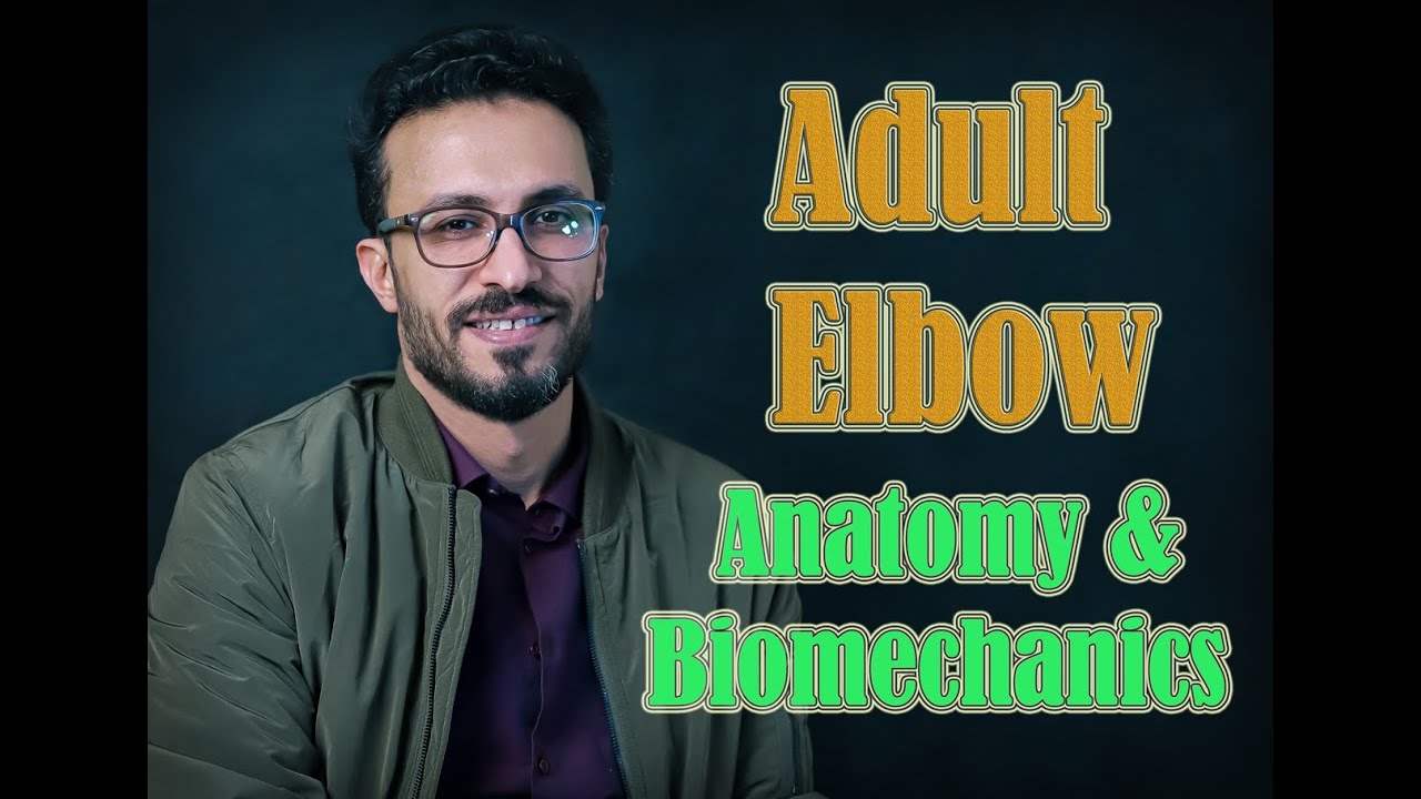 02 Adult elbow: Anatomy and Biomechanics