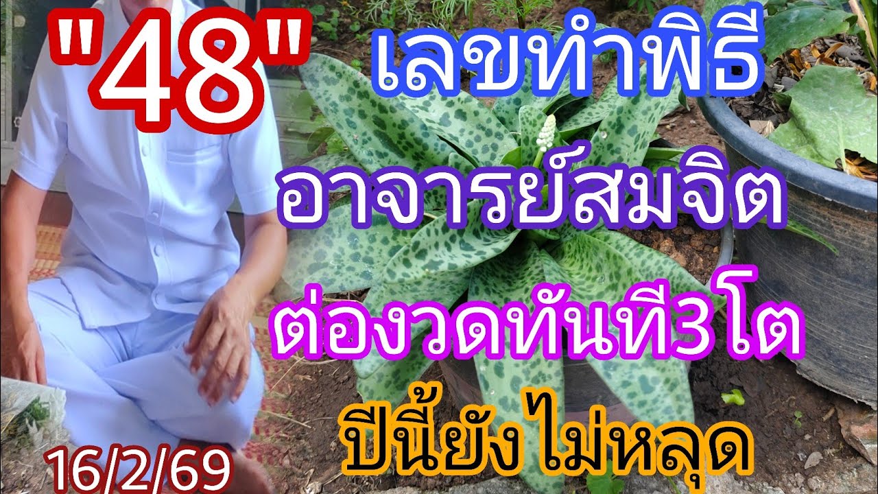 48เลขทำพิธีอาจารย์สมจิตต่องวดทันทีปีนี้ยังบ่หลุด16/2/69