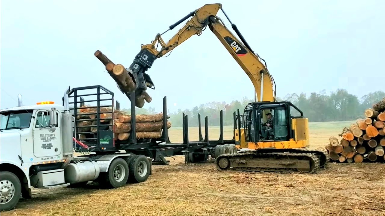 Cat loading logs!!!!  #multitool #awesome