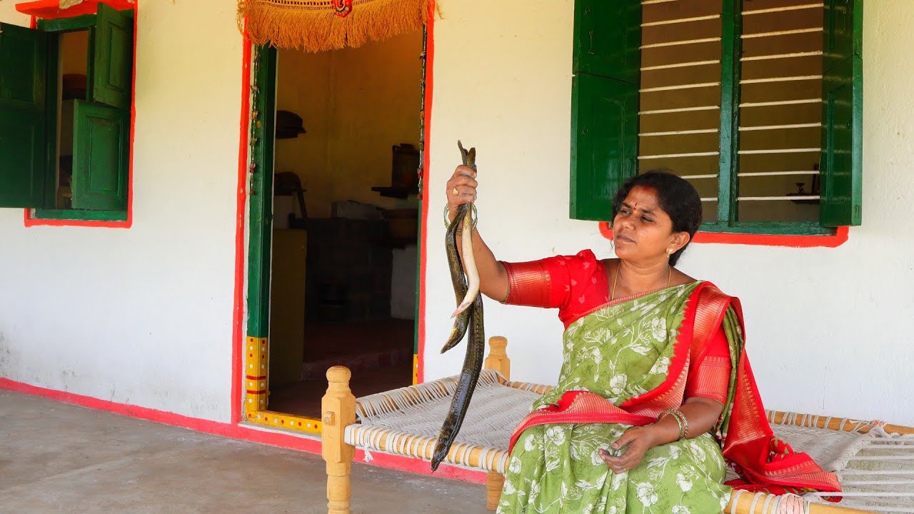 Indian traditional harvesting days on village & indian famous bommidayala pulusu